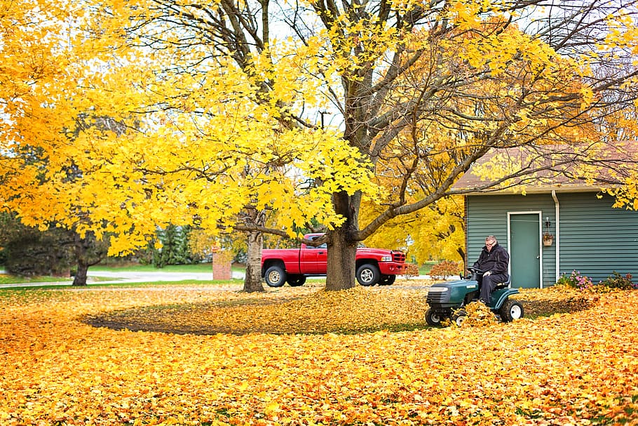 Prevent Allergies in Fall: House Cleaning Tips